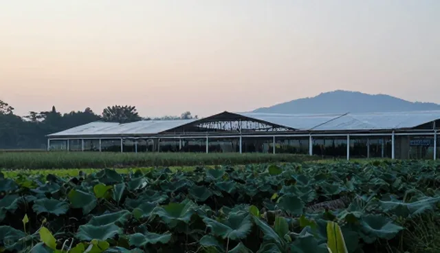 全渠道广告投放：节点可查与不可查的取舍对比