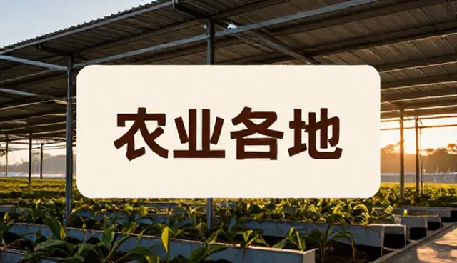 账号代运营中视觉呈现的两个关键环节