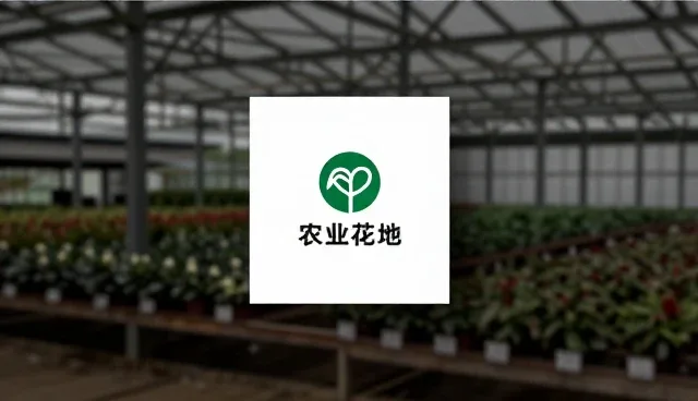 广告设计制作选型关注点:文案创作与视觉呈现的取舍